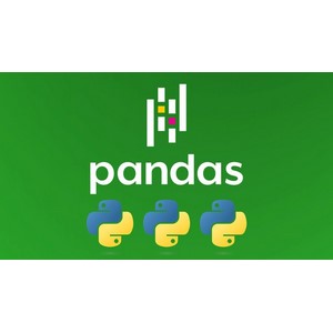 Udemy — Master Pandas and Python for Data Handling [2025] 2025-9