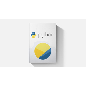 Python: The Professional Guide For Beginners (2025 Edition) 2025-1