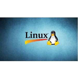Linux administrator commands: Practical sessions 2023-11