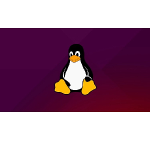 Linux Network Administration and Services Deployment 2023-11