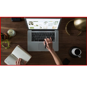 Udemy — WordPress. Basic and Advanced. No coding. 2024 2024-1
