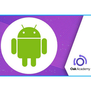 Udemy — Android App Development & Android Hacking, Android Security 2025-1