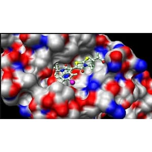 Udemy — Bioinformatics; Learn Docking & Mol Dynamics Simulation 2024-12