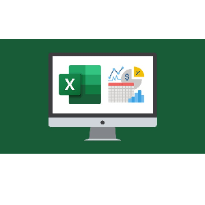Udemy — Microsoft Excel 365 Advanced 2024-5