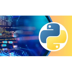 Python Programming Course: Beginner to Advanced 2024-7