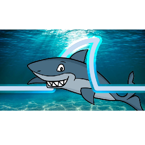Udemy — Wireshark Ninja | Mastering Real Wireshark PROALL|2023WSHRK+ 2023-6