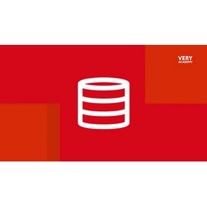 Udemy — Express MongoDB Mongoose Query Fundamentals 2025-4
