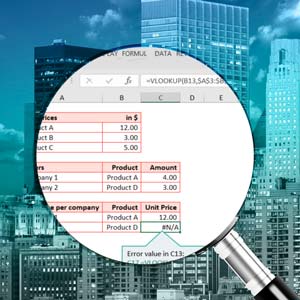 Coursera — Excel Modeling for Professionals: Best Practices & Pitfalls 2023-1