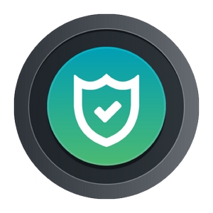Pluralsight — CISA® (Certified Information Systems Auditor®) 2024 2024-9
