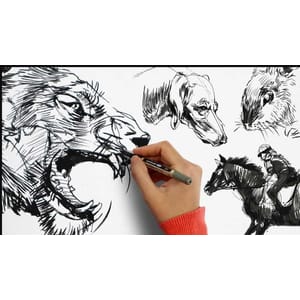 Udemy — Masterclass of Animal Drawing: Beginner to Advanced 2023-3