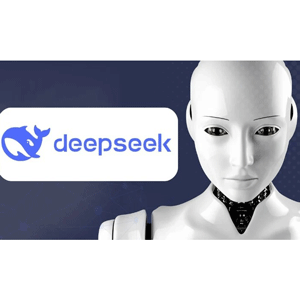 Vollständige Deepseek AI Kurs : Leitfaden von Basic bis Advanced 2025-7