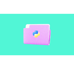 Udemy — Core Concepts of Python Programming Language 2024-6