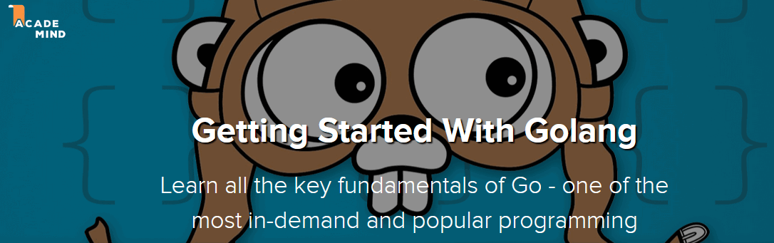 Imágenes · Academind - Comenzando con Golang 2024-11