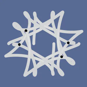 Computer Science: Programming with a Purpose 2021-2