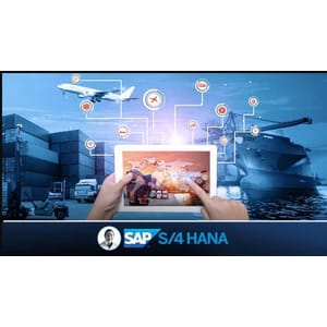 Udemy — SAP : Supply Chain Logistics & Transportation in S/4 HANA 2025-1