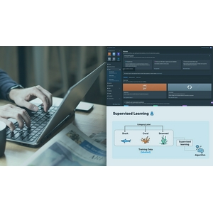 Pluralsight — AWS Certified AI Practitioner (AIF-C01): Fundamentals of AI and ML 2024-11