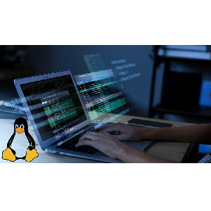 Linux Commands and System Administration Bootcamp 2023-12