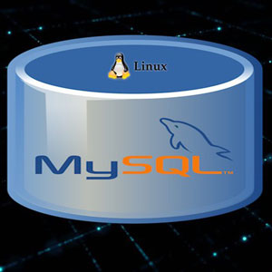 Complete MySQL Database Administration Course 2022-12