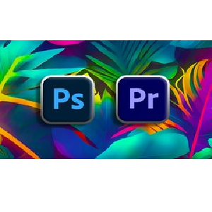Complete Adobe Premiere Pro Megacourse: Beginner to Expert 2022/11