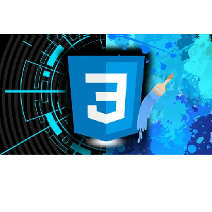 ZeroToMastery – The CSS Bootcamp: Zero to Mastery 2025-4