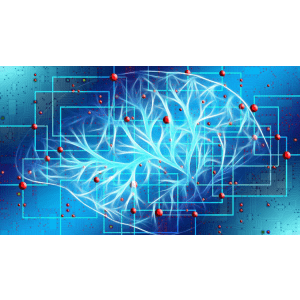 Curiosity Driven Deep Reinforcement Learning 2021-10