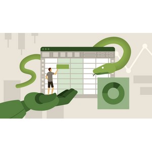 使用 Excel, Python,和Copilot作为公民数据科学家 2025-1