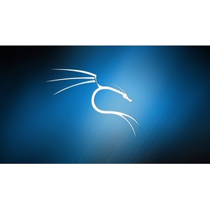 Udemy — Kali Linux For Ethical Hacking v3.0: Beginner to PRO 2024-5
