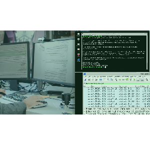 Pluralsight — Network Protocols for Security: DNS 2023-9