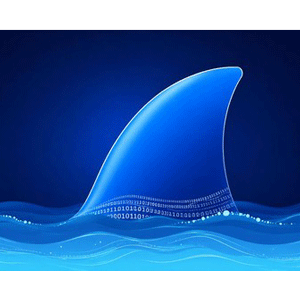 Wireshark for SOC アナリスト& AI強力な分析 2026-5