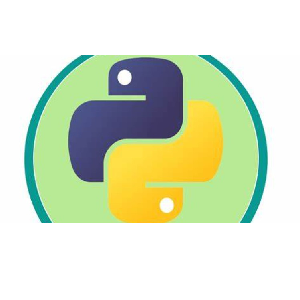 Udemy — The Python Problem-Solver’s Toolkit: 300 Hands-On Exercises 2023-5