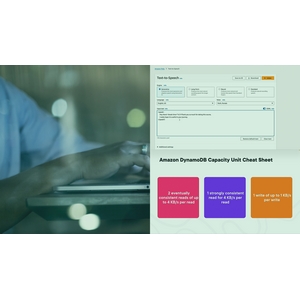 Pluralsight — AWS Certified Solutions Architect – Associate (SAA-C03): Storage, Databases, Machine Learning, and Big Data Analytics 2024-11