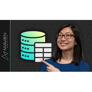 SQL for Data Analysis: Advanced SQL Querying Techniques 2025-1