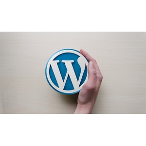 Udemy — Mastering WordPress Theme Development. 2024-8