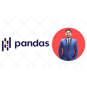 Udemy — Python Pandas Full Course 2025-2