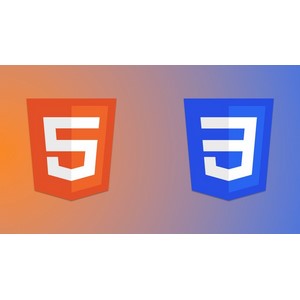 HTML && CSS For Absolute Begginers 2024-10