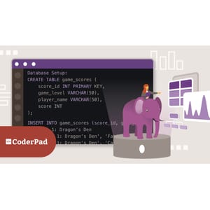 Data Analysis with PostgreSQL 2024-8