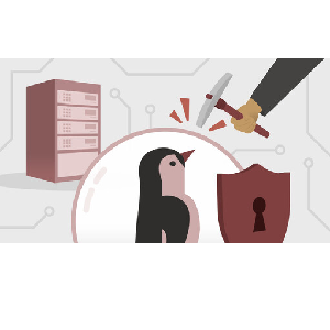 LinkedIn — Linux Hardening 2024-6