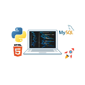 Python programming with MySQL database: for Data Science 2022-6