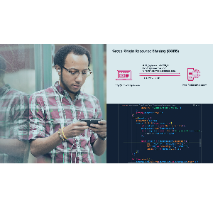 Pluralsight — Network Requests in JavaScript 2023-6