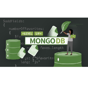 LinkedIn — Coding Exercises: Advanced MongoDB 2022-11