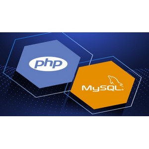 Build 13 Projects with PHP MySQL Bootstrap and PDO 2024-8