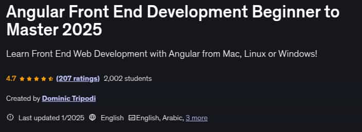 Pictures · Angular Front End Development Beginner to Master 2025 2025-1