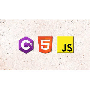 HTML JavaScript & AspNet C# Programming : Beginner to Expert 2022-6
