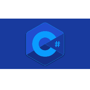 C# Back-end Development Bootcamp 2024-2