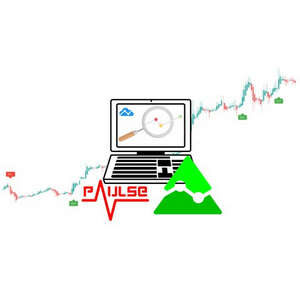 Udemy — Tradingview Pine Script Strategies: The Complete Guide 2020-10