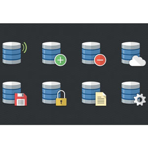 Relational Database Design 2021-8