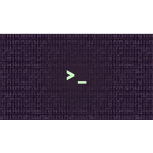 Bash Scripting and Shell Programming (Linux Command Line) 2023-7