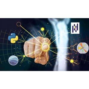 SAP Data Science & ML for SAP Consultants 2025-1