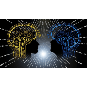 Udemy — Modern Reinforcement Learning: Actor-Critic Agents 2023-8