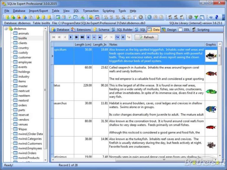 Pictures · SQLite Expert Professional 6.2.4.738